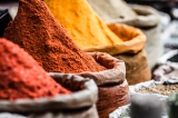 spices-india-yoga-retreat